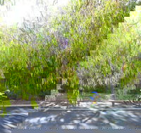 SunSmart FunMan Triathlon - Pubs Adelaide