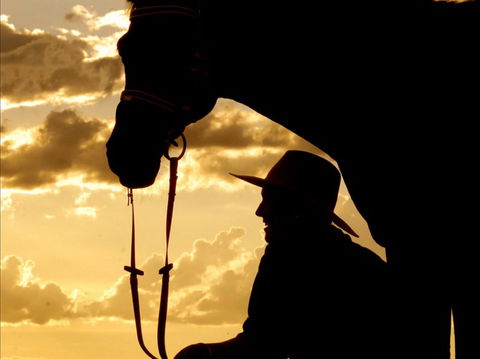 Talmoi Picnic Races - Pubs Adelaide 1