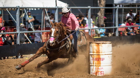 The Gulf Country Frontier Days Festival - Pubs Adelaide 2