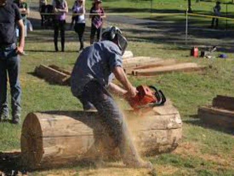 Tocal Field Days - Pubs Adelaide 0