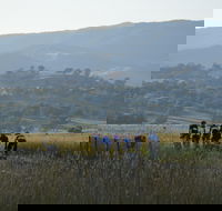 Tumut Cycle Classic - Pubs Adelaide