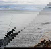 Whale Watching in Portland - Pubs Adelaide