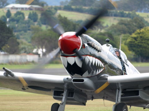 Wings Over Illawarra - Pubs Adelaide 0