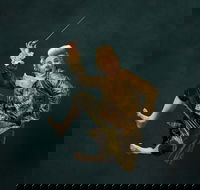 Wolfgangs Magical Musical Circus - Pubs Adelaide