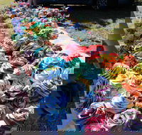 Wynyard Foreshore Market - Pubs Adelaide