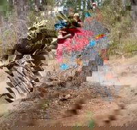 Fox Superflow sealed by Stan's Race  Greenvalleys - Pubs Adelaide