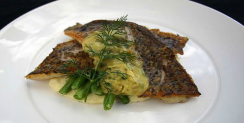 Aquarius Seafood Restaurant - Pubs Adelaide 2
