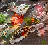 Toshi's Japanese Restaurant - Pubs Adelaide