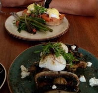 Brew - Pubs Adelaide