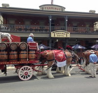 Terminus Hotel - Pubs Adelaide