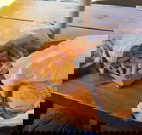 The Salty Dog Fish  Chippery - Pubs Adelaide