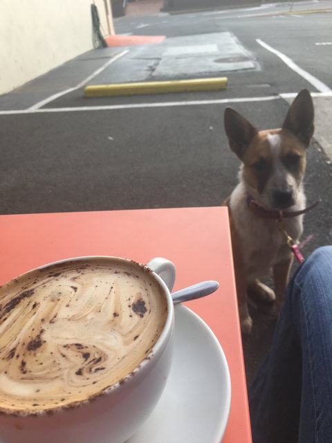 Open Book Cafe - Pubs Adelaide 3