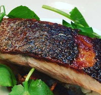 The Shaggy Cow - Pubs Adelaide