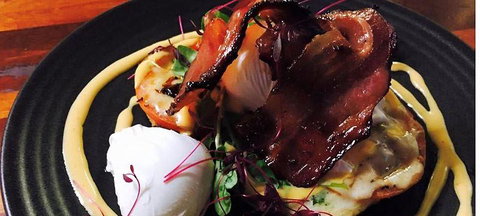 Wild Canary - Pubs Adelaide 3