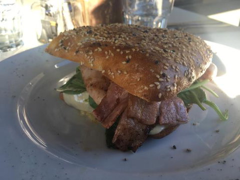 Daily Dose CWB - Pubs Adelaide 0