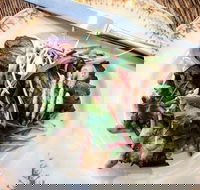 Frank and Connie's Kitchen - Pubs Adelaide