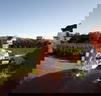 Gapsted Wines - Pubs Adelaide