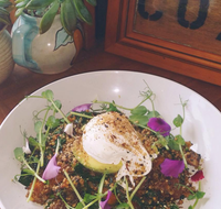 The Shak Organic Cafe  Wine Bar - Pubs Adelaide