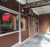 Lotus Garden Chinese Restaurant