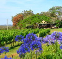 Little Fish Cafe - Pubs Adelaide