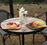 Kurrajong Bark Park and Cafe BCM - Pubs Adelaide