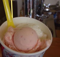 Bermagui Gelati Clinic - Pubs Adelaide