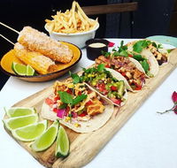 Chihuahua - Pubs Adelaide