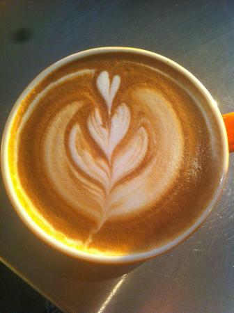 Northern Rivers And Tropical Nsw NSW Pubs Adelaide