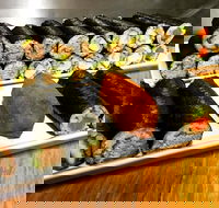 Freewave Sushi  Burgers - Pubs Adelaide