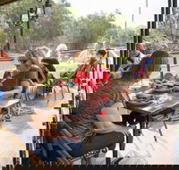 Redgums on PS Emmylou - Pubs Adelaide