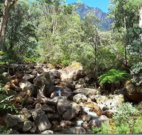 Star Chinese Restaurant - Pubs Adelaide
