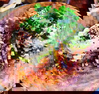 Woods - Pubs Adelaide