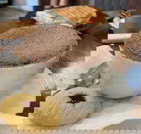 Mad Meerkat Coffee - Pubs Adelaide