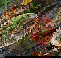 OlleyvilleShaw - Pubs Adelaide