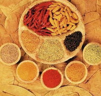 Tehzeeb Indian and Australian Restaurant - Pubs Adelaide