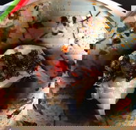 29 Nine 99 - Pubs Adelaide