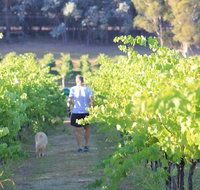 Tallagandra Hill Winery - Pubs Adelaide