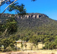 The Lolly Bug - Pubs Adelaide
