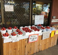 The Pines Orchard - Pubs Adelaide