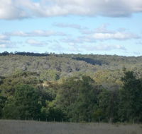 U Saucey Thing - Pubs Adelaide