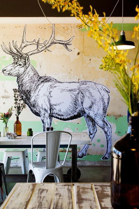Elk Espresso - Pubs Adelaide 0