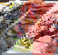 Fitzies Fish and Chips - Pubs Adelaide