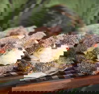 Parmi Bandit - Pubs Adelaide