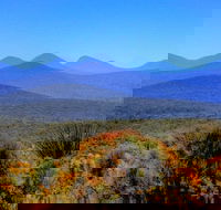 Arcadia Wines - Pubs Adelaide