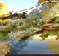 Cradle Coast Olives - Pubs Adelaide