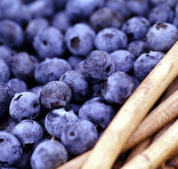 Drum Drum Blueberry Farm - Pubs Adelaide
