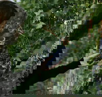 Rowlee Vine To Table Experience - Pubs Adelaide