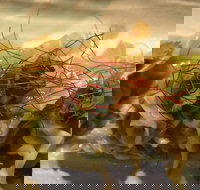 Tarana Indian Restaurant - Pubs Adelaide