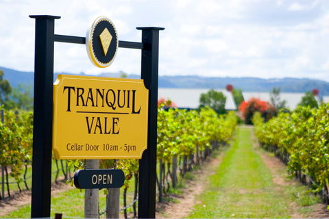 Tranquil Vale Vineyard - Pubs Adelaide 0