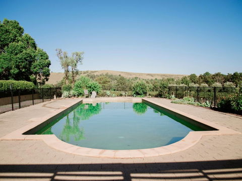 Tranquil Vale Vineyard - Pubs Adelaide 1
